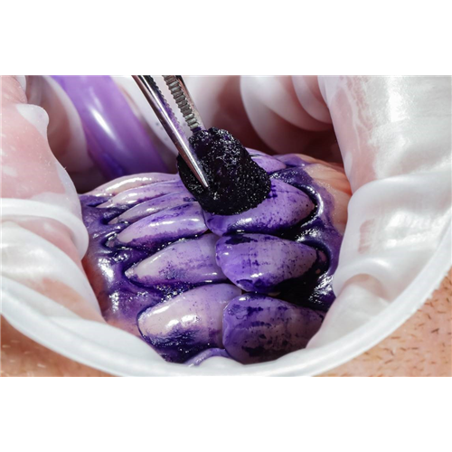 Discloser - EMS-DV158